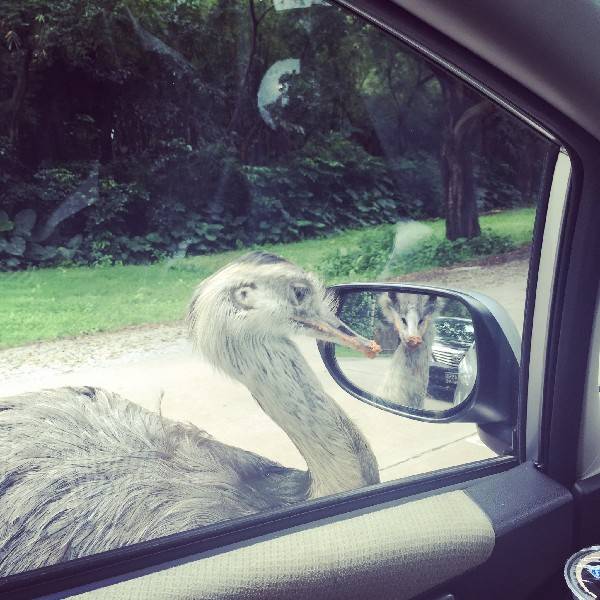 看到玻璃就想照鏡子？