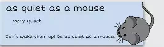 萌你一臉的生活常用諺語！